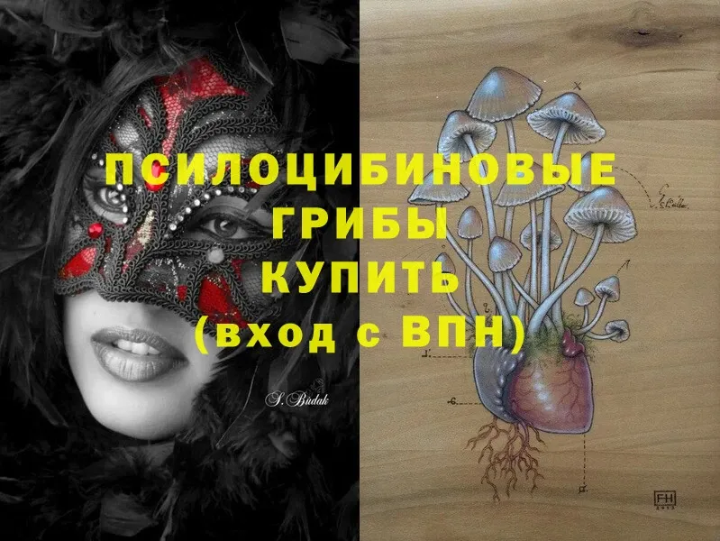 Галлюциногенные грибы Magic Shrooms  Электросталь 